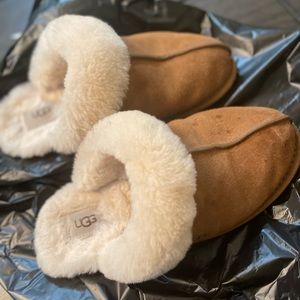 UGG Slippers